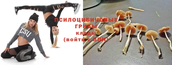 mdpv Липки