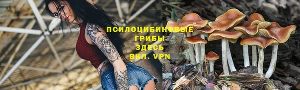 стафф Лиски